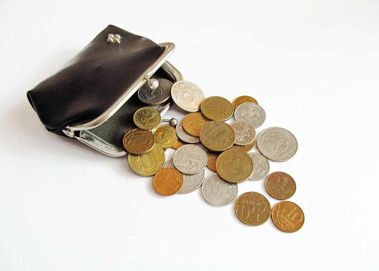 Infographic_Five tips for looking after your large household’s finances_M3